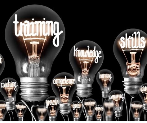 ASE Training 的图像结果