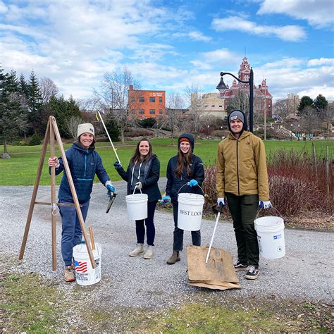 Image result for Different Types of Folate