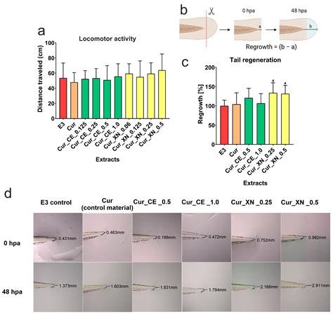Do Curdlan Hydrogels Improved with Bioactive Compounds from Hop Exhibit ...