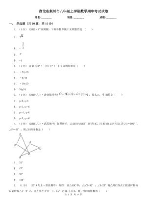 湖北省荆州市八年级上学期数学期中考试试卷
