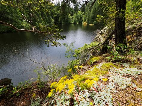 Anacortes Community Forest Lands - Whistle Lake, Anacortes Community ...