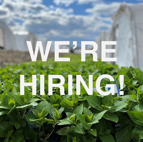 Plant Nursery Hiring at Ruth Flaherty blog