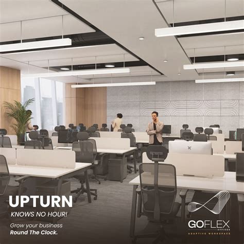 GoFlex Net 的图像结果