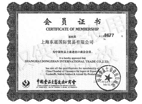 上海东展国际贸易有限公司-关于我们