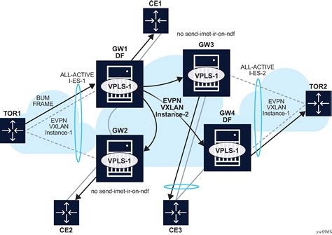 Image result for Evpn Tutorial