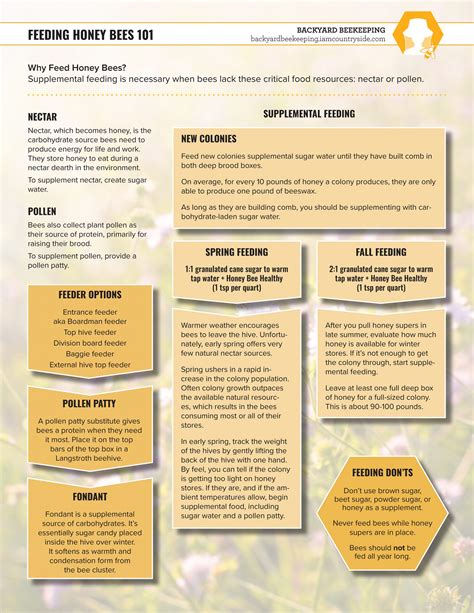 Image result for Bee Feeding Tips