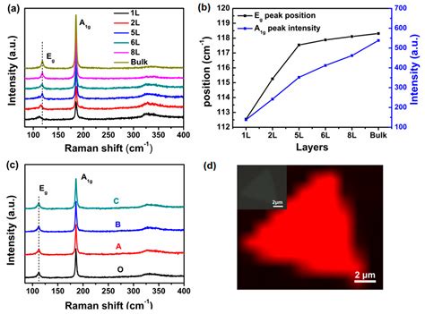 Synthesis and Surface-Enhanced Raman Scattering of Ultrathin SnSe2 ...