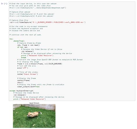 Image result for Anime Coder Python