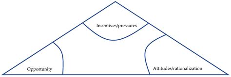 Detecting and Analyzing Fraudulent Patterns of Financial Statement for ...