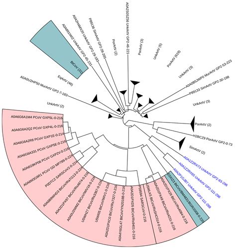 An Analysis of Combined Molecular Weight and Hydrophobicity Similarity ...