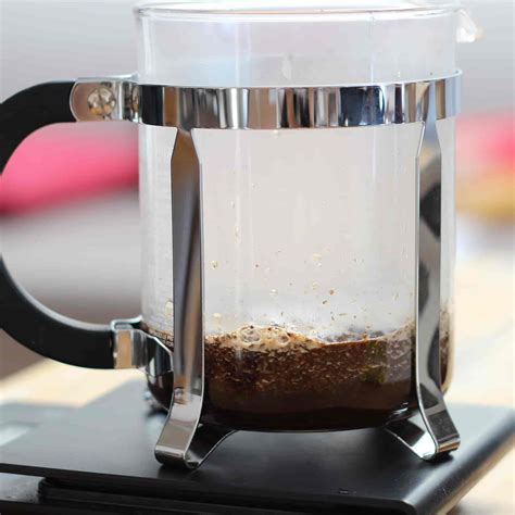 Coffee Grounds To Water Ratio French Press : French Press Cold Brew Yes ...