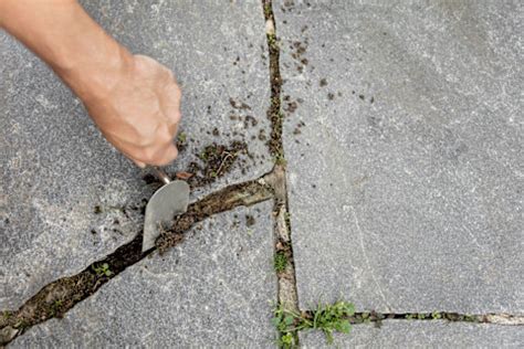 Patio Pointing Tutorial 的图像结果