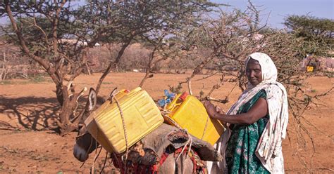 New Livelihoods Opportunities: A Welcome Relief for Families Displaced ...