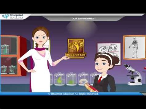 To study the external features of root, stem, leaf and flower - Lab ...