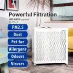 Blast Mini Mk II Air Purifier – Smart Air India