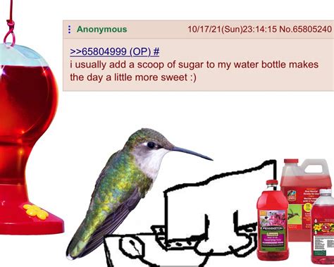 Hummingbird Weasel Memes