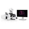 ZEISS LSM 910 | Advanced confocal imaging for your research