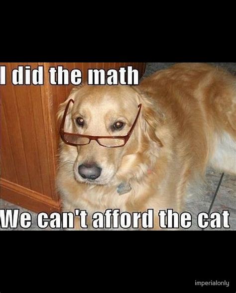 Image result for Math Dog