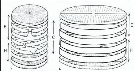Untitled Document [wgbis.ces.iisc.ac.in]