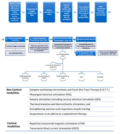 Neurogenic Dysphagia and Nutrition in Disorder of Consciousness: An ...