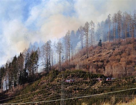 30.000 Volt Stromleitung gerissen: Gefährlicher Waldbrand entfacht ...