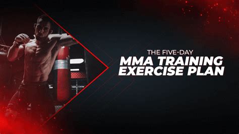 The Five-Day MMA Training Exercise Plan – Proathlix