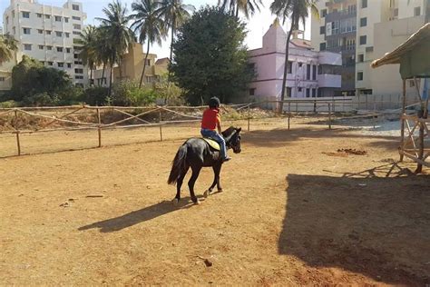 Legacy Horse Riding School Bangalore - Book Now @ Rs.1199 (21% off)