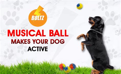 Buy BOLTZ Combo of 4 Durable Dog Teeth Cleaning,Chewing and Biting ...