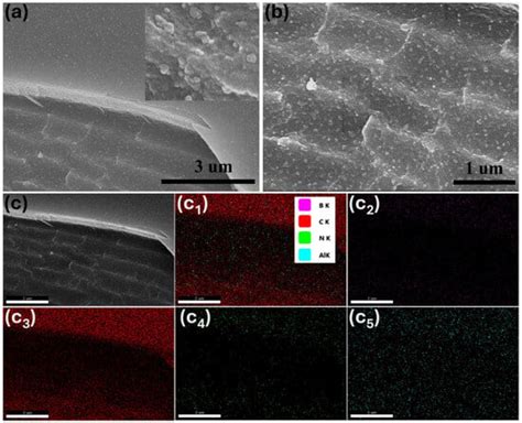 In-Situ Polymerization for Catalytic Graphitization of Boronated PAN ...