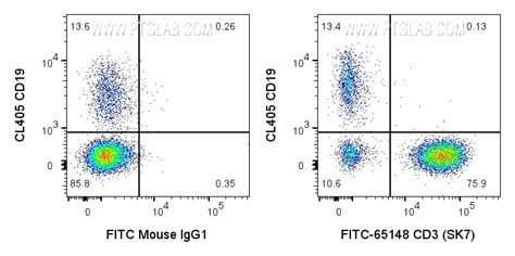 CD3 antibody (FITC-65148) | Proteintech