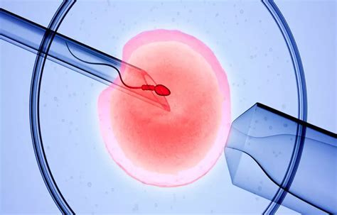 IVF children with birth defects at greater cancer risk: JAMA