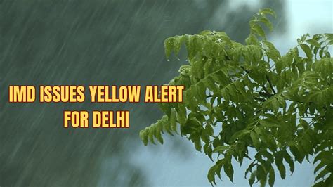 Delhi Under Yellow Alert, Rainfall Expected to Continue Till... | Delhi ...