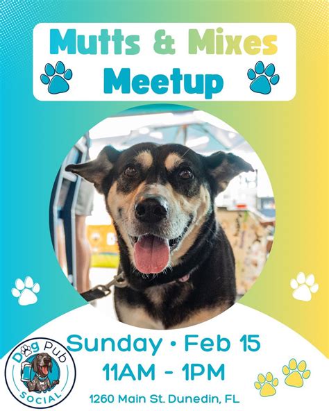 Mutts & Mixes Meetup at Dog Pub Social, 1260 Main Street, Dunedin, FL ...