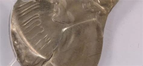 Image result for 2020 Coin Error