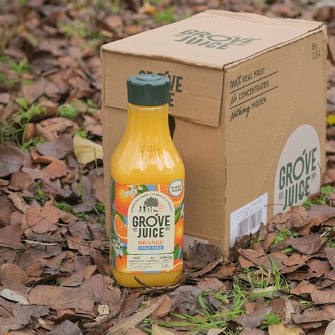 Orange Juice Pulp Free | Fresh Juice | Treetop Juices