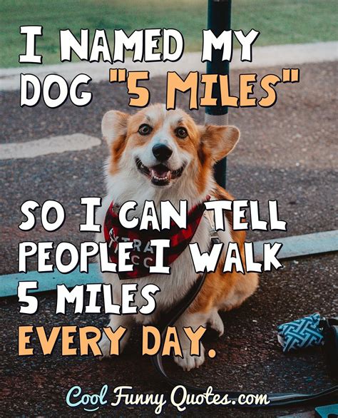 Funny Dog Quotes Videos at Evelyn Lowman blog