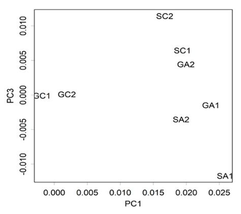 L-Arginine Exerts Excellent Anti-Stress Effects on Stress-Induced ...