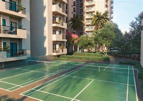 Apex | APEX ALPHABET