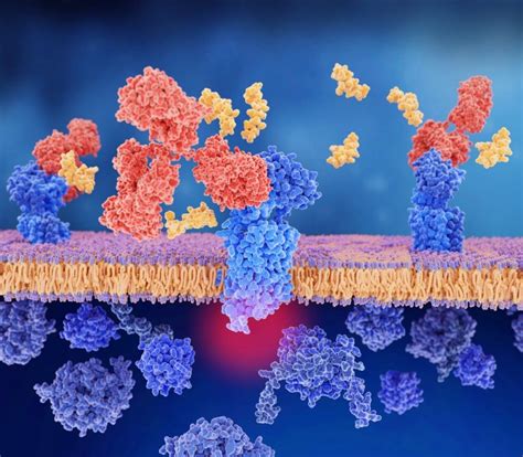 ¿Un piercing que previene las migrañas? | Tu canal de salud
