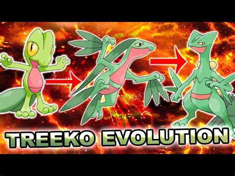 Image result for Pokemon Evolution Chart Treecko