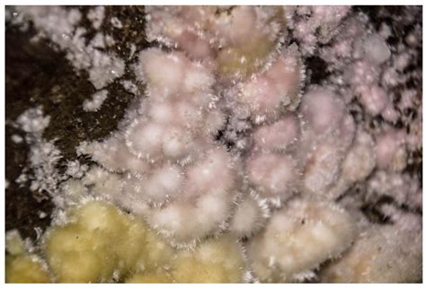 Geoheritage of the Precious Opal Bearing Zone in Libanka Mining ...