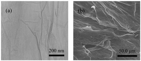 Effect of Graphene Coating on the Heat Transfer Performance of a ...
