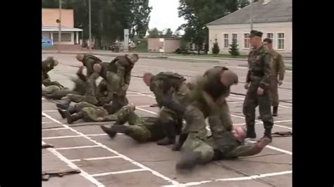 Systema 的图像结果