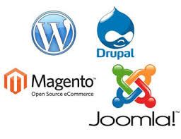 Image result for CMS Website Examples