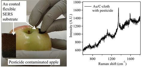 Utilization of Inexpensive Carbon-Based Substrates as Platforms for Sensing