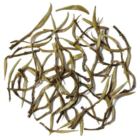 Darjeeling 1888 Silver Moon Tea | Okayti Darjeeling White Tea