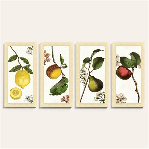 Hanging Fruit Botanical Framed Art Print Series
