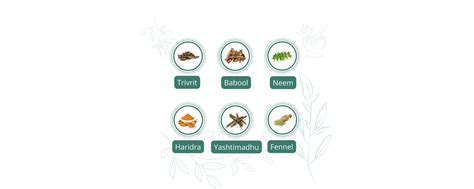 Buy Toothpaste Tablets Refill Online | Toothfully Yours – Toothfullyyours