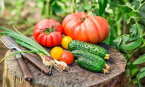 Starting a Vegetable Garden Class, Shonnard's Nursery, Philomath, 22 ...