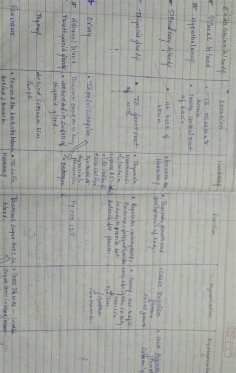 Table of glands ,their location ,their secretion,their functions of ...